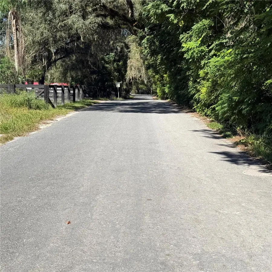 16612 SE 25th Avenue, Summerfield, FL 34491 - #3
