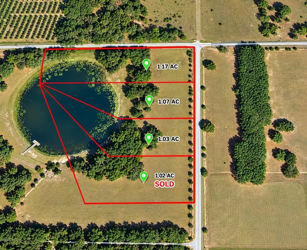 Lake Burns Road, Umatilla, FL 32784 - #1