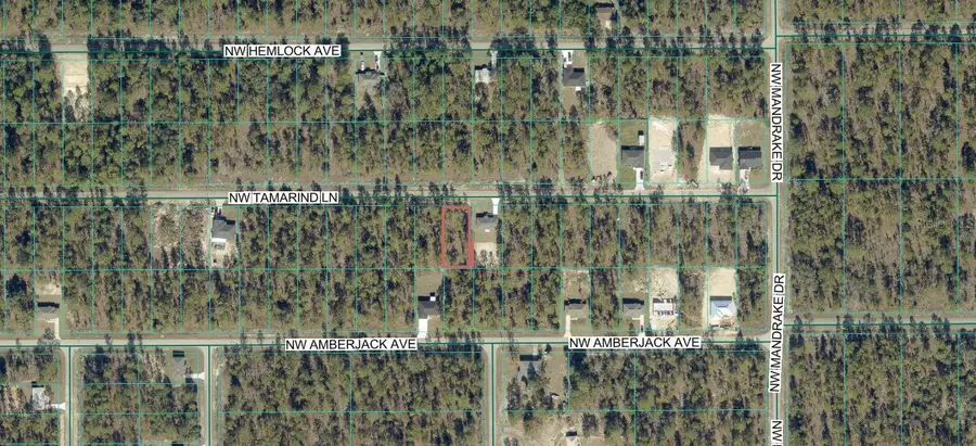 TBD NW Tamarind Lane, Dunnellon, FL 34431 - #2