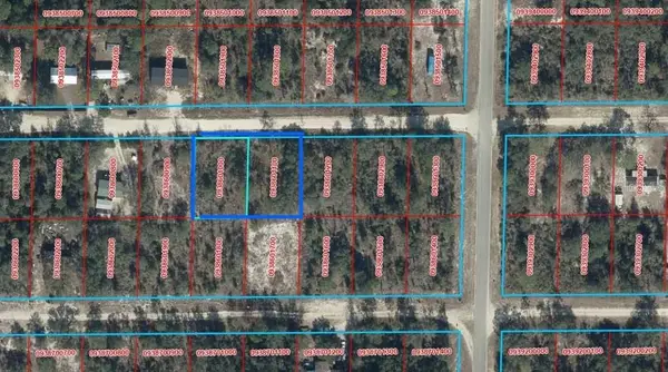 TBD NE 64th Street, WILLISTON, FL 32696