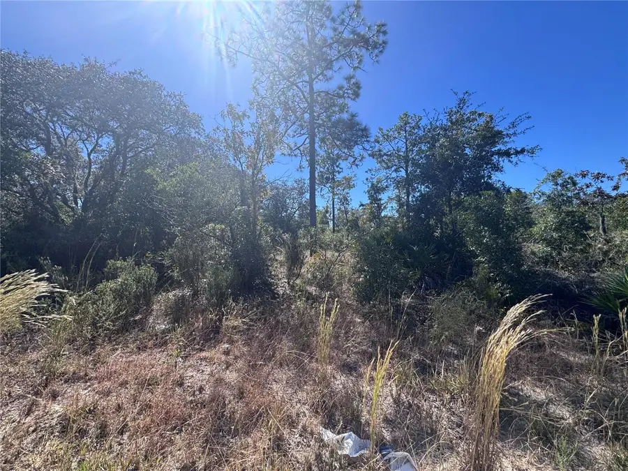 TBD NE 64th Street, Williston, FL 32696 - #2