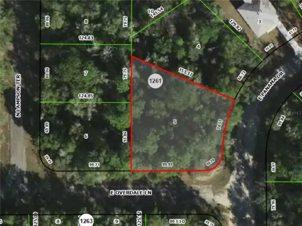 445 E Panama Drive, CITRUS SPRINGS, FL 34434