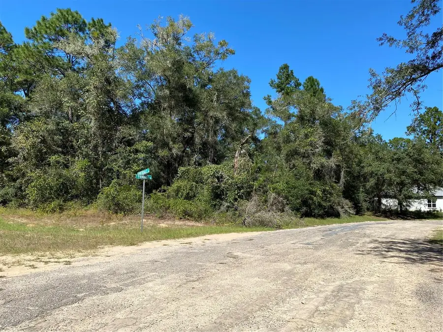 445 E Panama Drive, Citrus Springs, FL 34434 - #2
