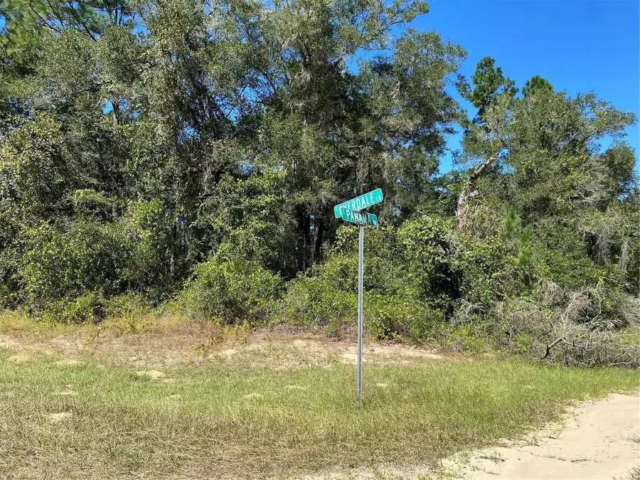 445 E Panama Drive, Citrus Springs, FL 34434 - #3
