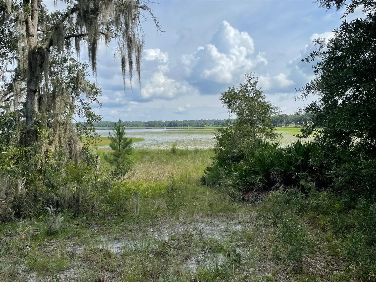 LOTS 462 & 463 SW Shorewood Drive, Dunnellon, FL 34431 - #1