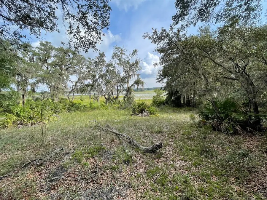 LOTS 462 & 463 SW Shorewood Drive, Dunnellon, FL 34431 - #3