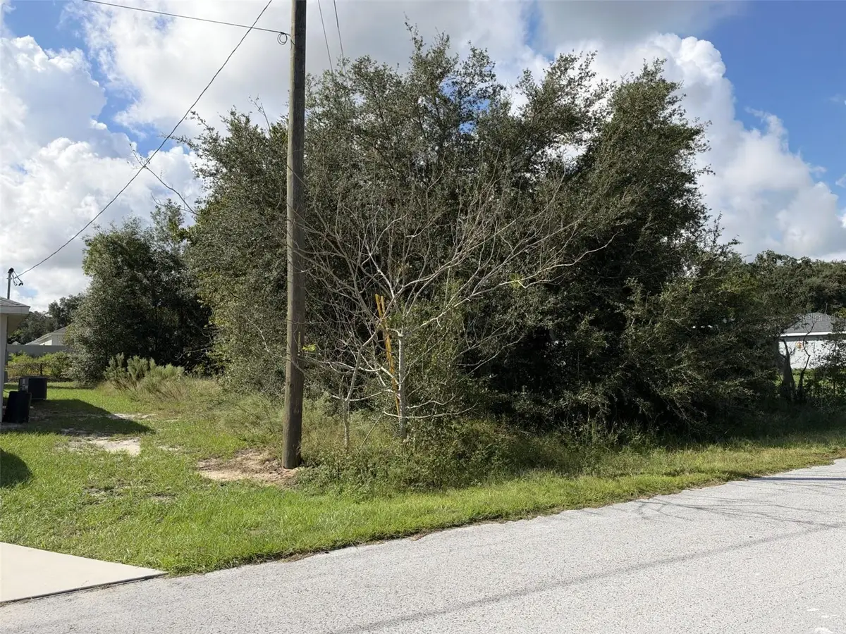 TBD SE 159th Street, Summerfield, FL 34491 - #1