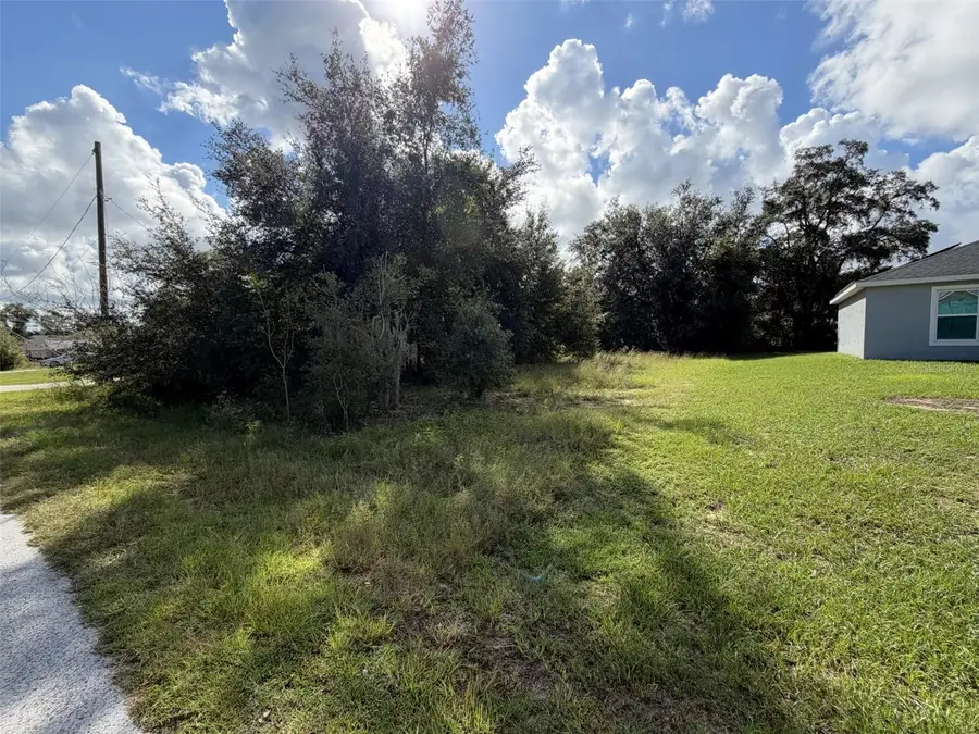TBD SE 159th Street, Summerfield, FL 34491 - #3