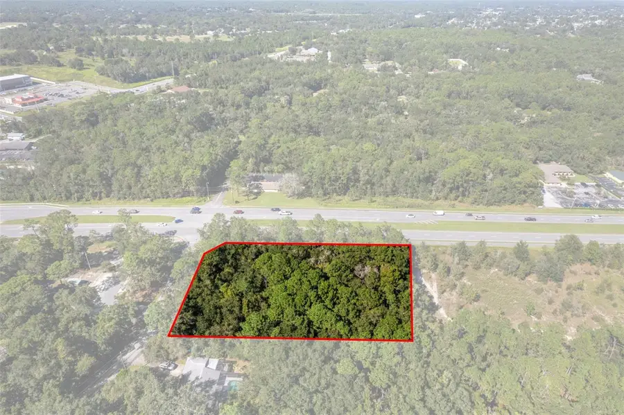 2798 W Norvell Bryant Highway, Lecanto, FL 34461 - #3