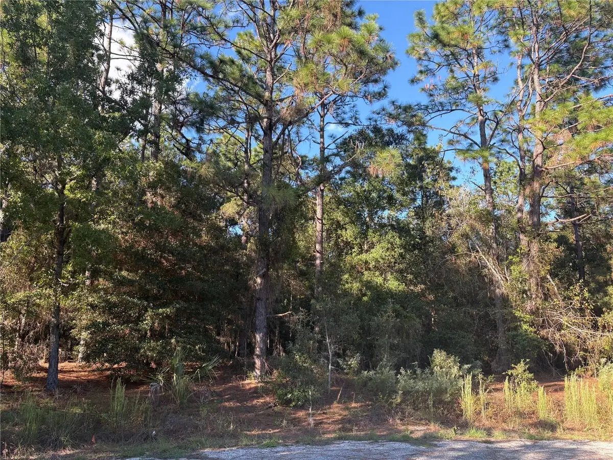 1742 W Mesa Verde Drive, Beverly Hills, FL 34465 - #1