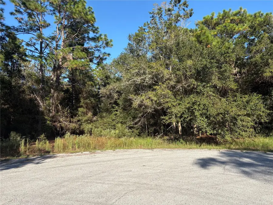 1742 W Mesa Verde Drive, Beverly Hills, FL 34465 - #2