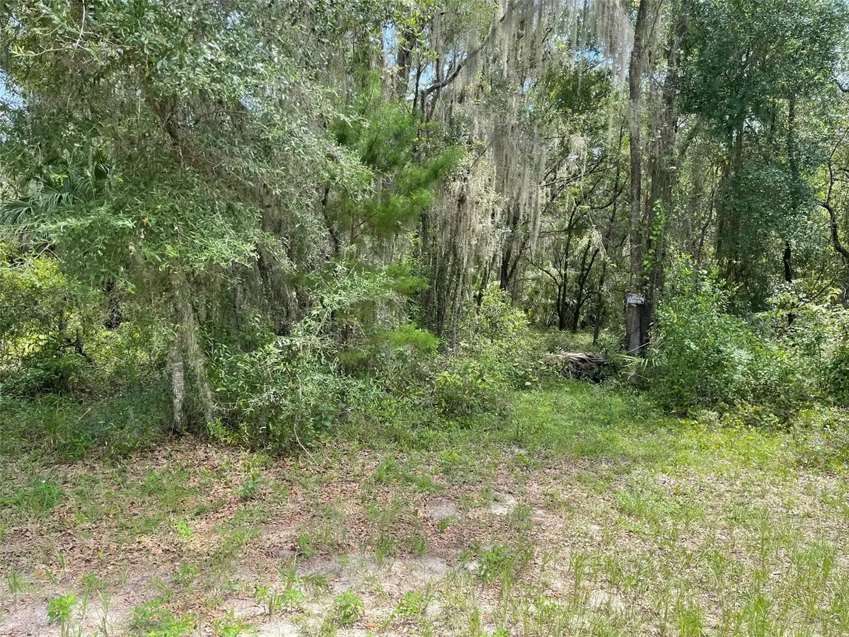 LOTS 15 & 16 SW Shorewood Drive, Dunnellon, FL 34431 - #1