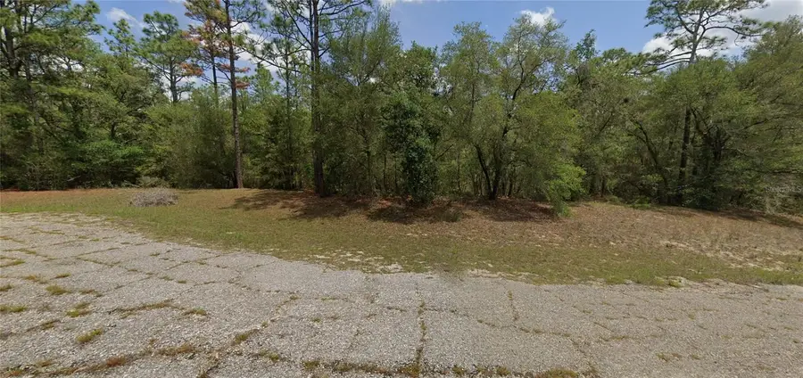 403 W Whitmarsh Court, Citrus Springs, FL 34434 - #2