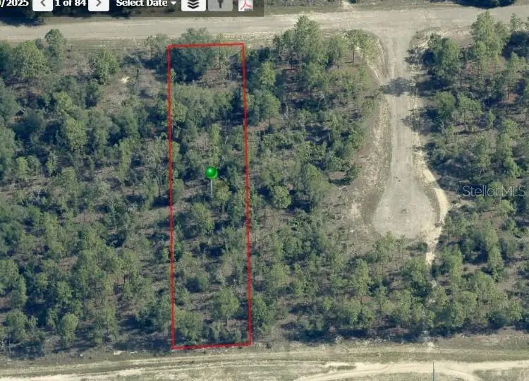 1407 W Belen Drive, Citrus Springs, FL 34434 - #1