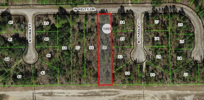 1407 W Belen Drive, Citrus Springs, FL 34434 - #3