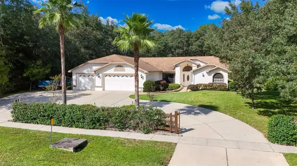 3355 W Birds Nest Drive, BEVERLY HILLS, FL 34465