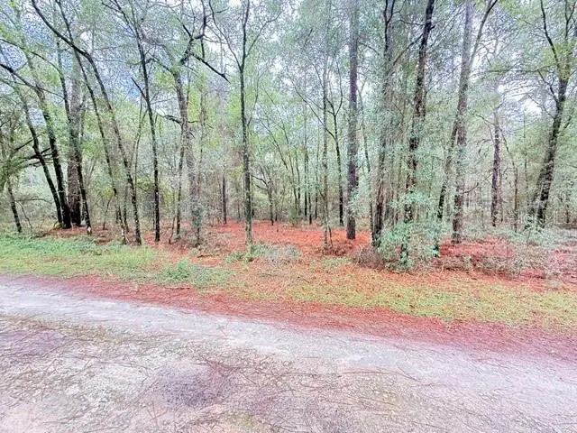 000 SW 10th Pl, Ocala, FL 34481 - #1