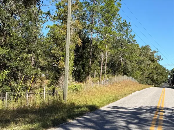 4290 NE 140th Ct, WILLISTON, FL 32696