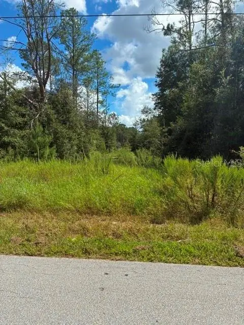 0 SW Cardinal Avenue, Dunnellon, FL 34431 - #1
