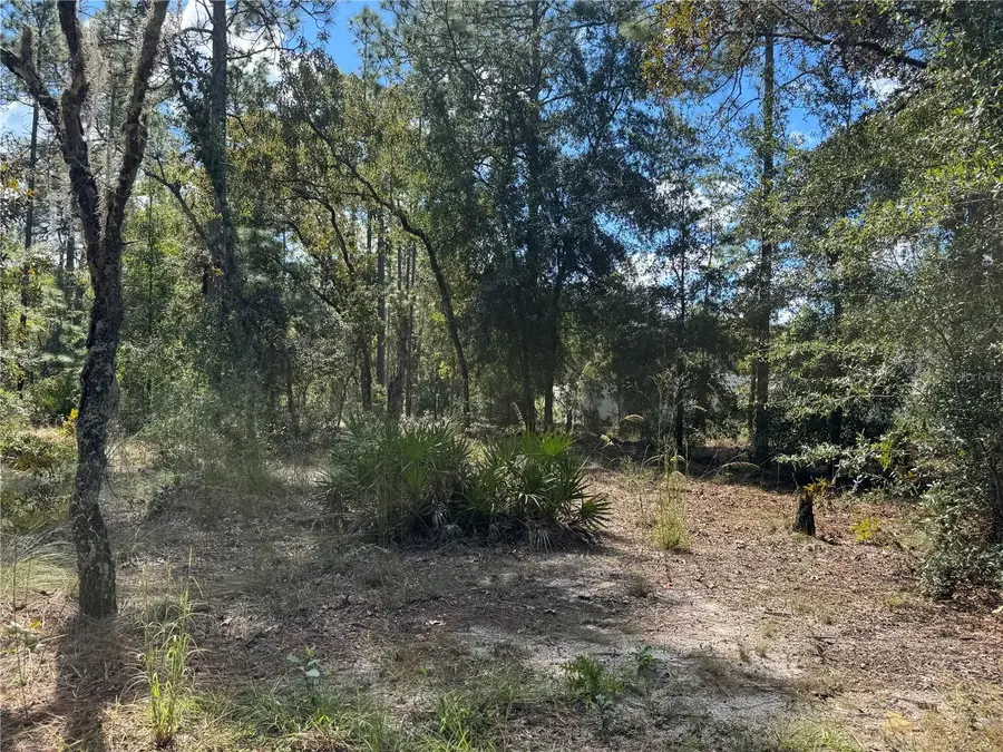 Lot 21 SW 157th Court, Ocala, FL 34481 - #2