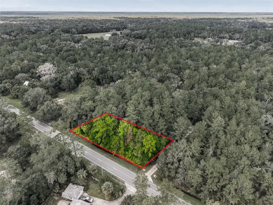 314 Highway Ne, Silver Springs, FL 34488 - #2