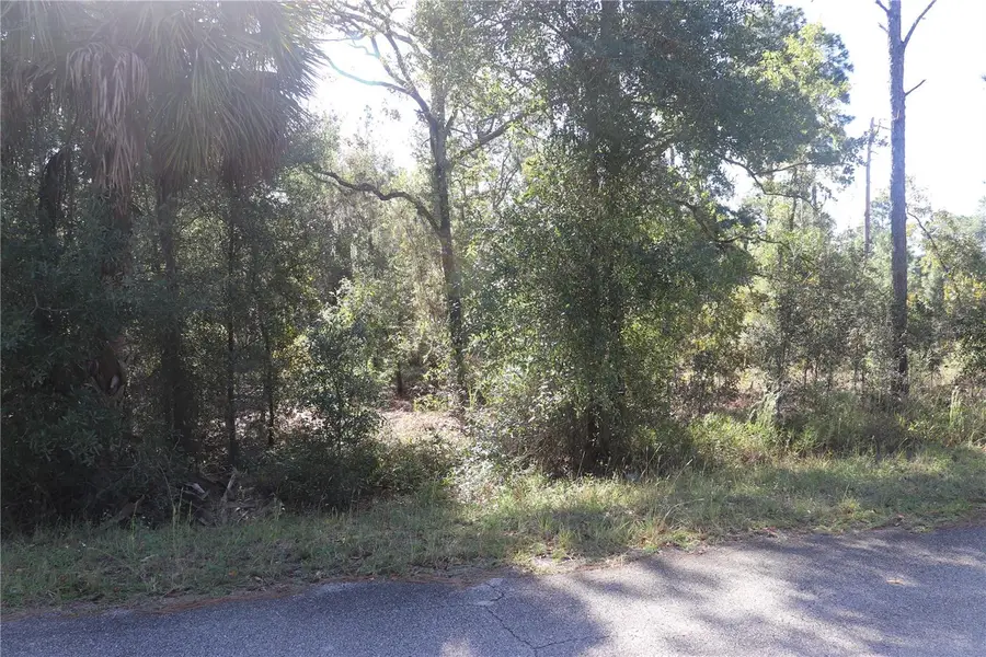 5756 W Connetquot Place, Dunnellon, FL 34433 - #2