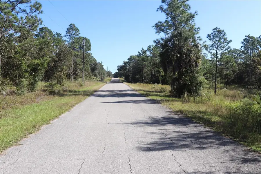5756 W Connetquot Place, Dunnellon, FL 34433 - #3