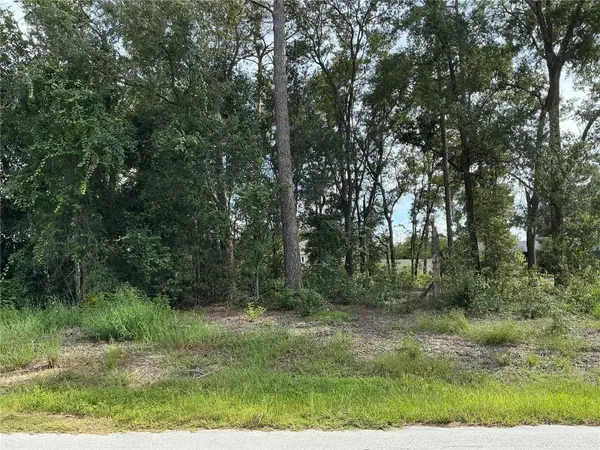 SE 159th Place, SUMMERFIELD, FL 34491