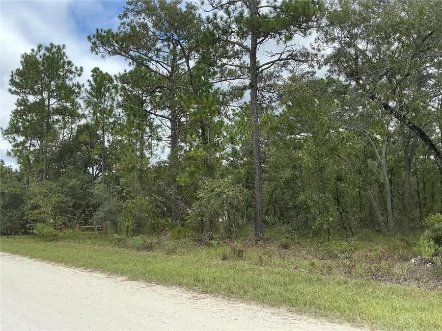 16118 Marsh Quail Road, Weeki Wachee, FL 34614 - #3