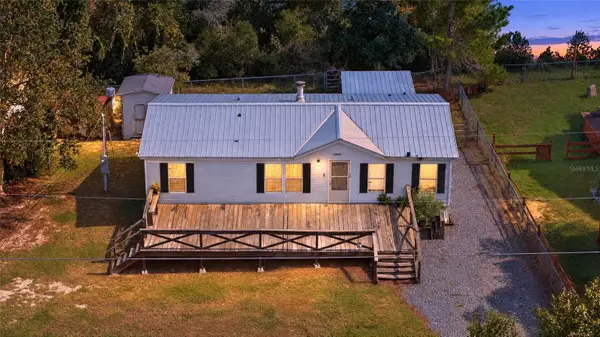 13445 NE 217th Court, SALT SPRINGS, FL 32134