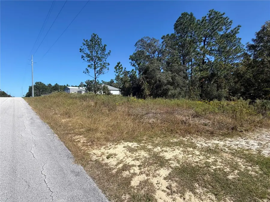 Lot 42 SW Azalea Court, Dunnellon, FL 34431 - #3
