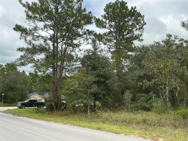 SW 85th Place, OCALA, FL 34473