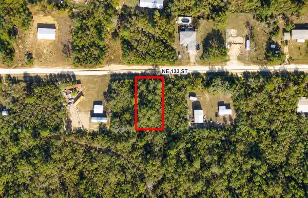 TBD NE 133rd Street, SALT SPRINGS, FL 32134
