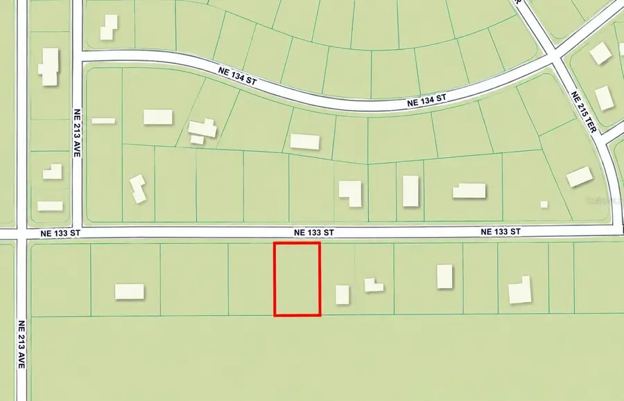 TBD NE 133rd Street, Salt Springs, FL 32134 - #2