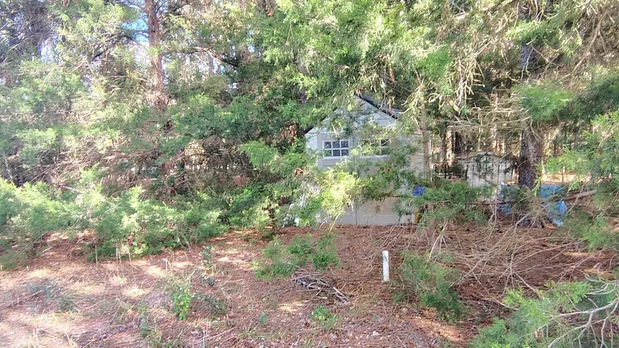 0000 NE Hwy 27 Alt, Williston, FL 32696 - #3