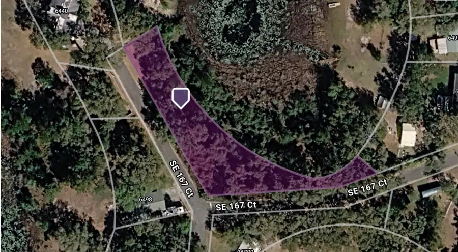 TBD SE 167th Ct, Ocklawaha, FL 32179 - #3