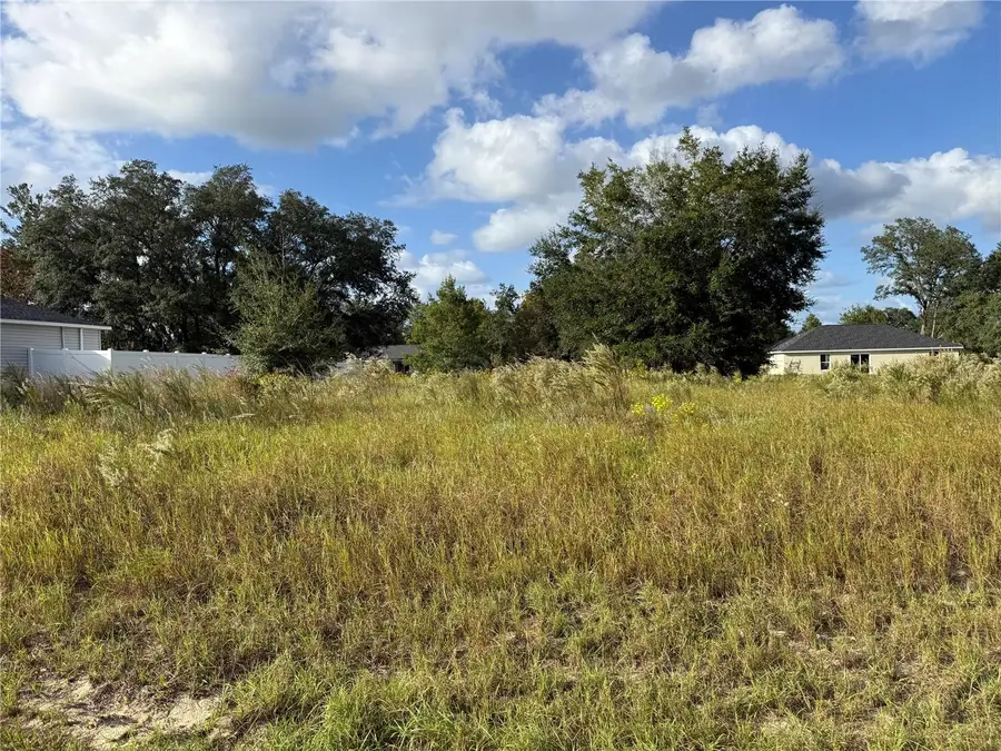 Malauka Road, Ocklawaha, FL 32179 - #2