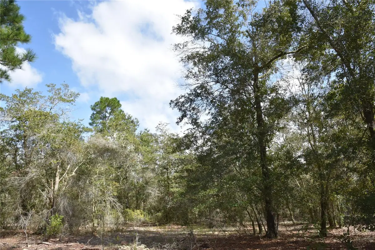 9150 SE Us Highway 301, Hawthorne, FL 32640 - #1