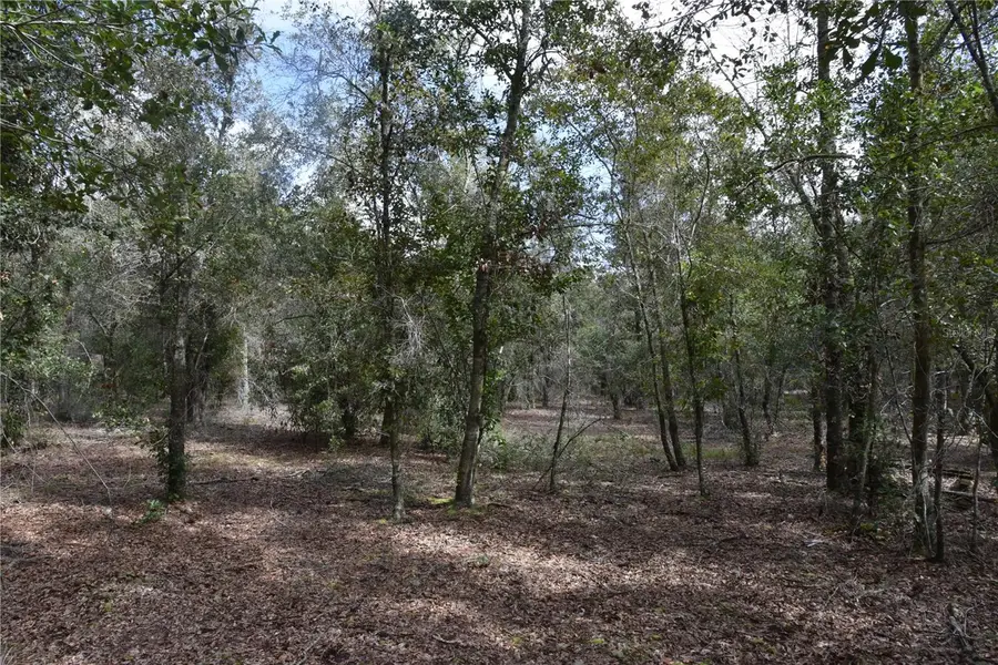 9150 SE Us Highway 301, Hawthorne, FL 32640 - #3