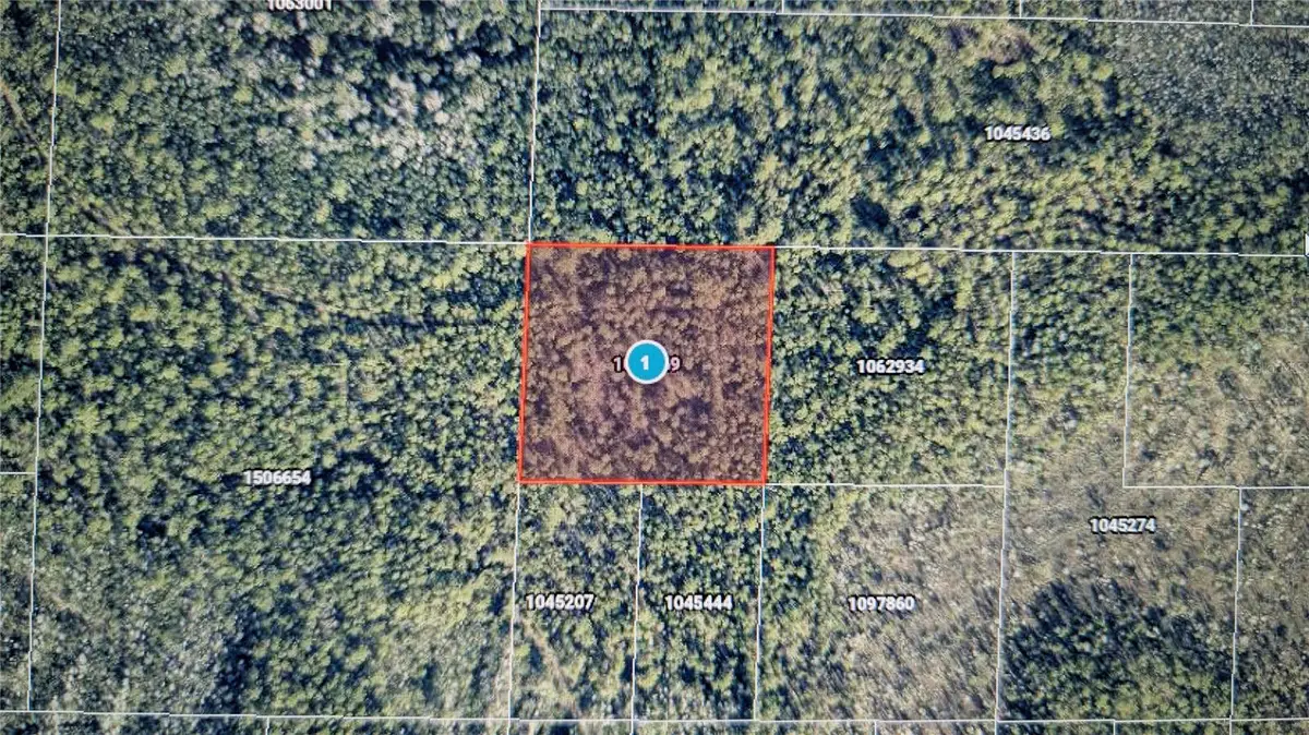 Salyers Road, Clermont, FL 34711 - #1