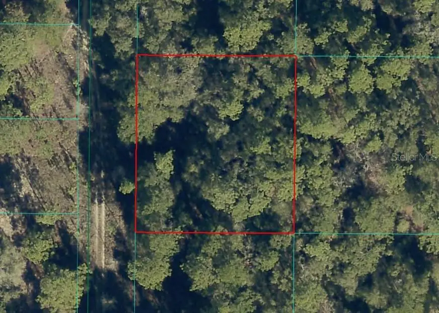 TBD SW 152nd Avenue, Ocala, FL 34481 - #2