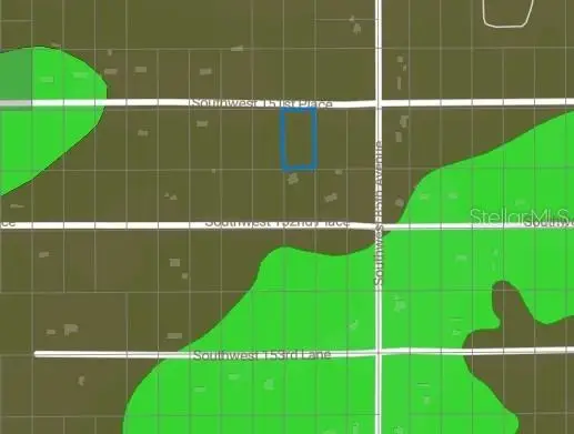 LOT 000 BLK 0 SW 151st Place, Dunnellon, FL 34432 - #2