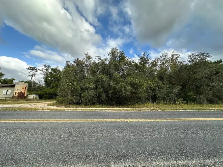 0 NE 236th Street, Salt Springs, FL 32134 - #2