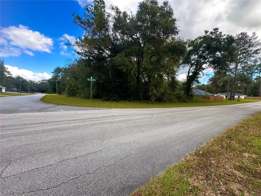 470 E Elgrove Drive, Citrus Springs, FL 34434 - #3