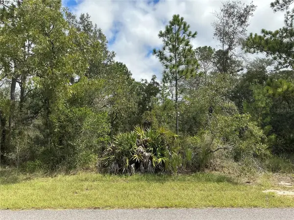 12510 Marbled Godwit Road, WEEKI WACHEE, FL 34614