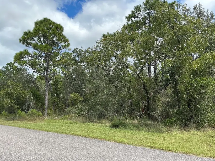 12510 Marbled Godwit Road, Weeki Wachee, FL 34614 - #3