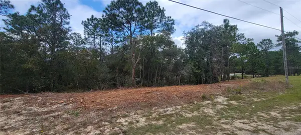 9172 N Marcus Way, DUNNELLON, FL 34433