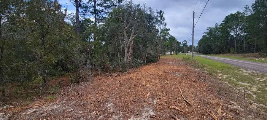 9172 N Marcus Way, Dunnellon, FL 34433 - #2