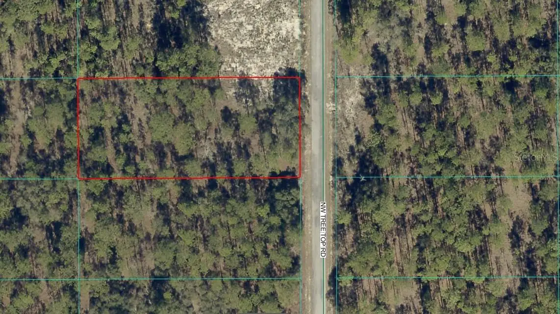 NW Tree Top Road, Dunnellon, FL 34431 - #1