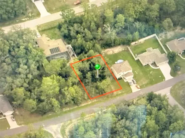 3219 W Babcock Place, CITRUS SPRINGS, FL 34433